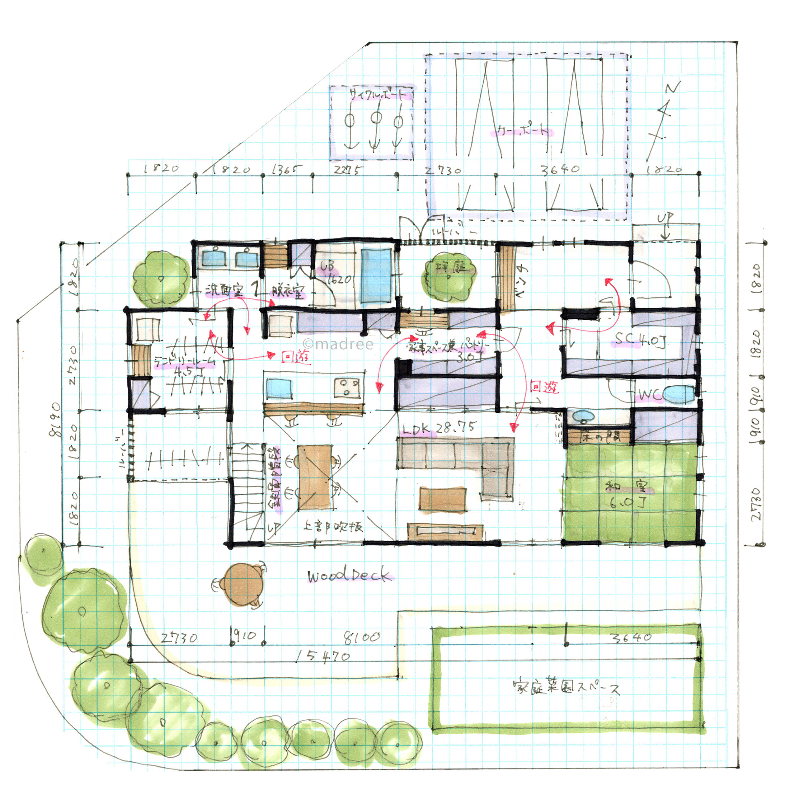 坪庭を愛でる玄関と家中快適な家事動線でゆとりある暮らしが叶う明るく開放的な家