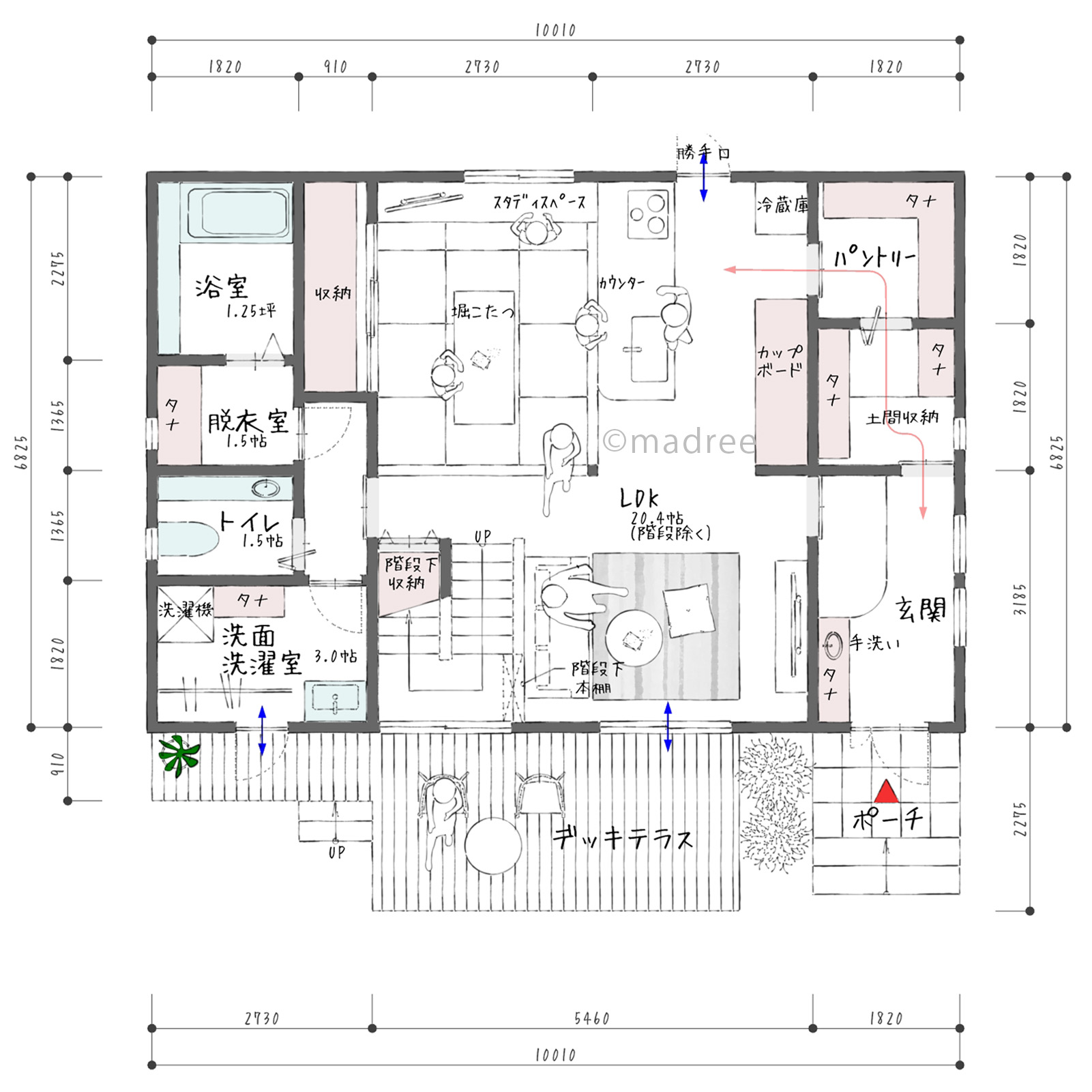 片付けながらの帰宅動線でスッキリ整う、内外つながる明るく開放的な家