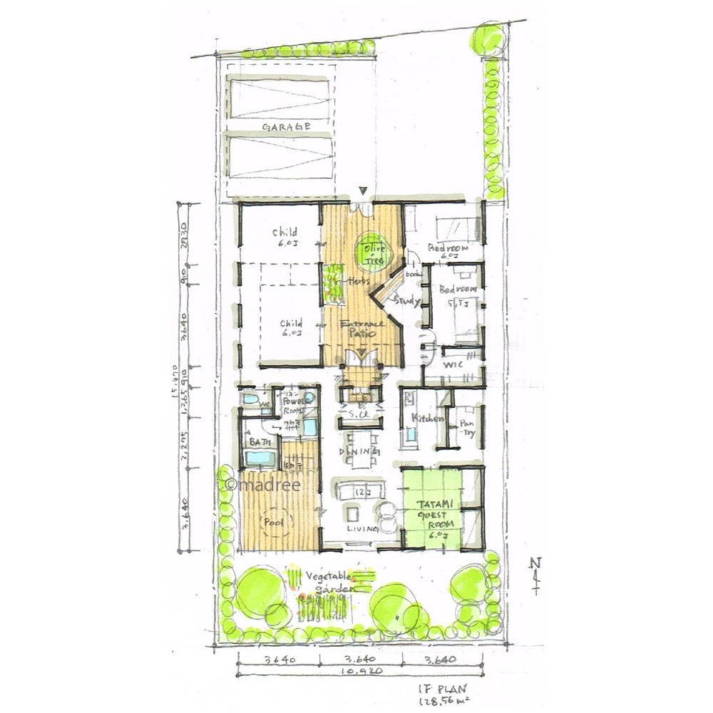 緑豊かなパティオでお出迎え、高天井から光注ぐ広々平屋