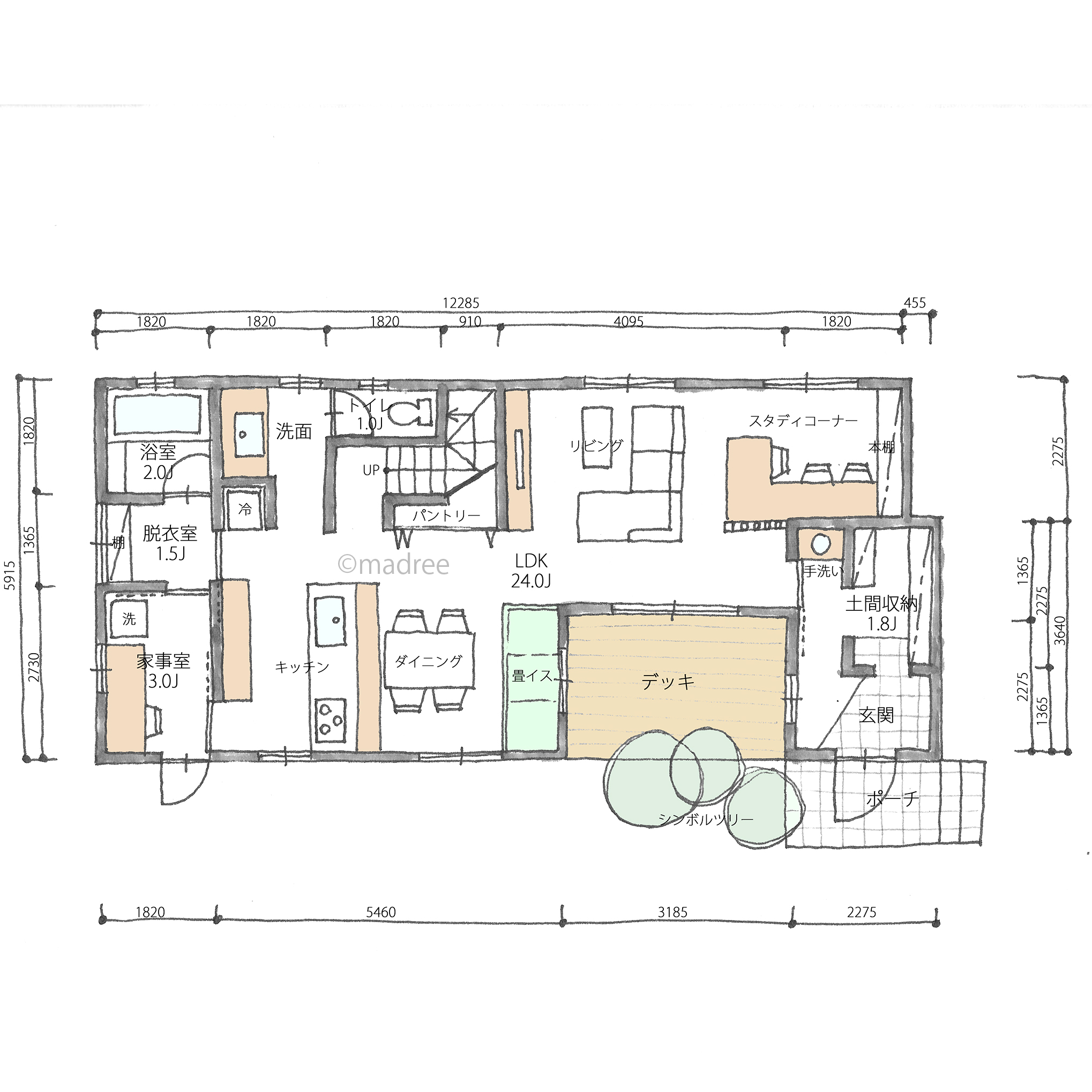 水回りの回遊導線で家事が捗る！シンボルツリーが一家団らんを見守る家