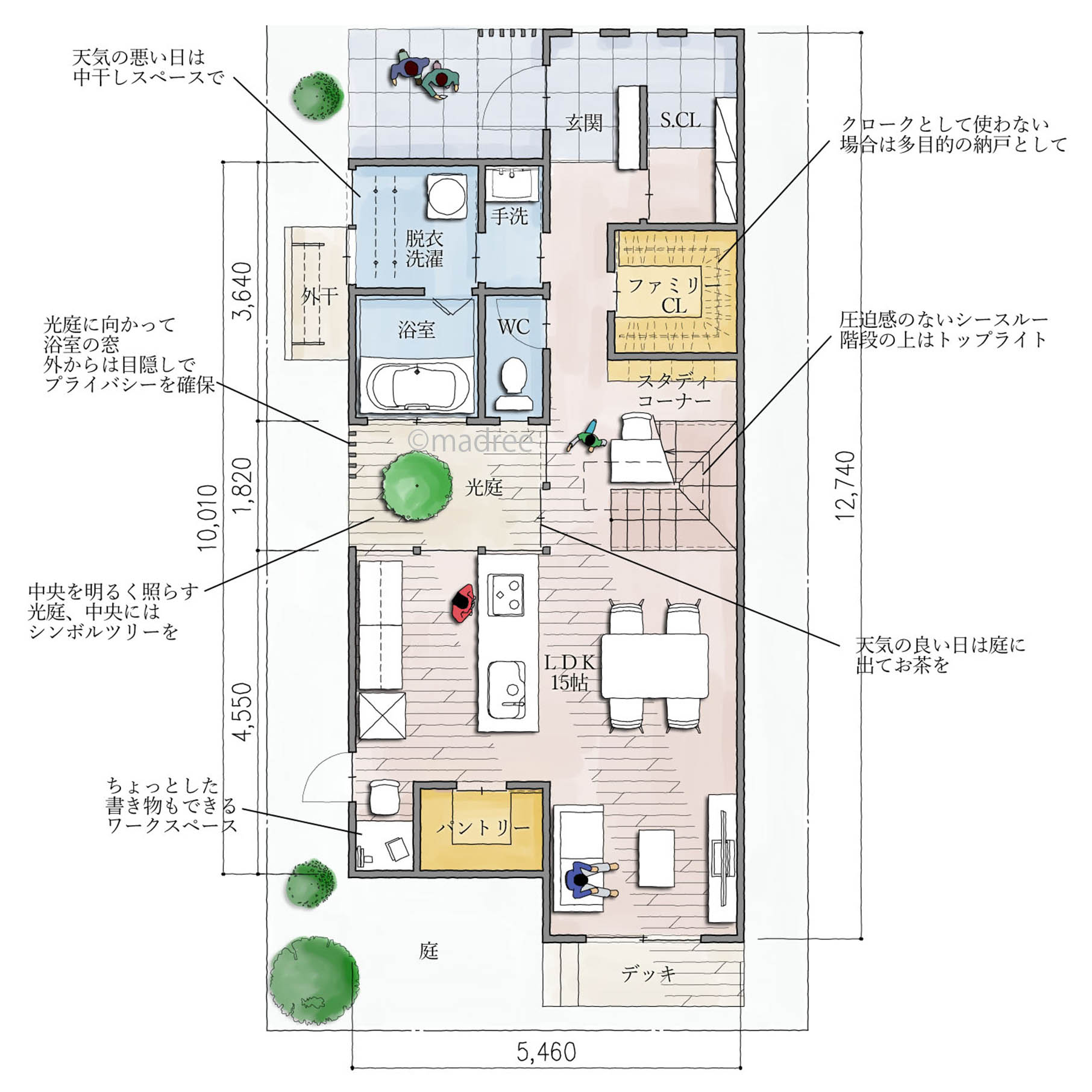 LDKと光庭の繋がりで広さ以上の開放感、シンボルツリーで四季を感じる家